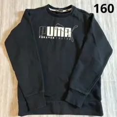 トレーナー 男の子 トップス