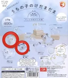 【明日発送可】うちの子のけだまだま　黒柴　柴犬