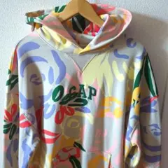 美品　希少　完売品　GAP マルチカラー　総柄　プルオーバーパーカー　刺繍ロゴ