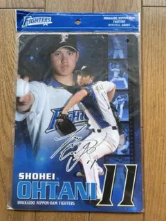 北海道日本ハムファイターズ時代の大谷翔平ミニ小判うちわ - メルカリ