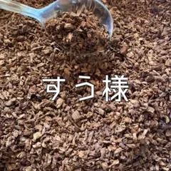 すう様専用ページ✩︎⡱