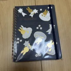 Item thumbnail for item df105f56-9414-427e-87c8-9528b66e0ed0