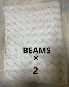 BEAMS ビームス 不織布製袋　ショッパー　2枚のサムネイル