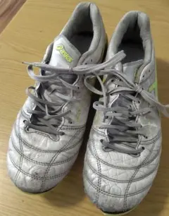 アシックス　DS LIGHT X-FLY 5