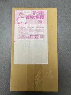 納品書付き シュリンク付き未開封 ポケモンセンターヒロシマ スペシャルBOX