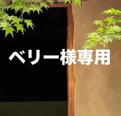 ベリー様 リクエスト 2点 まとめ商品