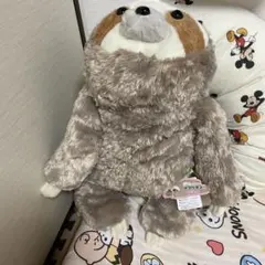 靴下にゃんこ クリスマスぬいぐるみ ノルッチ サンエックス - メルカリ