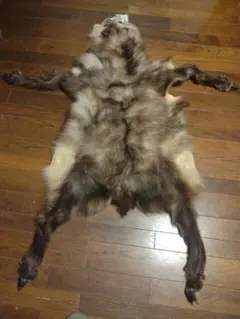 2026年最新】毛皮 カモシカの人気アイテム - メルカリ