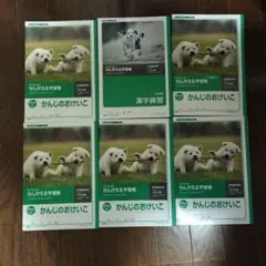 Item thumbnail for item 1a258a11-851e-46a3-a84d-2ca2e10b3f4b