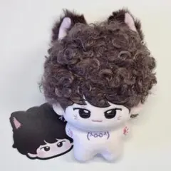 匿名配送 ウォヌ 10cm ぬいぐるみ ネコ 本体 セブチ svt - メルカリ