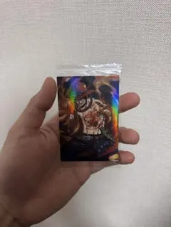 ワンピース エース カード
