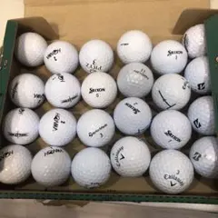 Item thumbnail for item 4f5ccb1f-0ed4-4446-abdb-995e3706dbd1