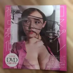 篠崎愛 DVD コスプレの裏側 週刊プレイボーイ付録 未開封