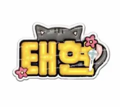 TXT テヒョン ぷっくりネームボード ネームボード トゥバ オーダー