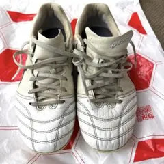 ASICS アシックス DS LIGHT ジュニアのサムネイル