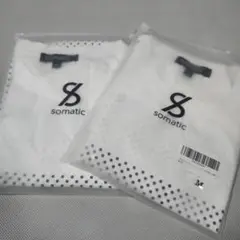 Item thumbnail for item e5659ab5-d074-493a-9c3a-4acda30c9cac