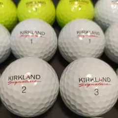 【売尽】【良品】Ver.3カークランド パフォーマンス+ 16球 (白, 黄)のサムネイル
