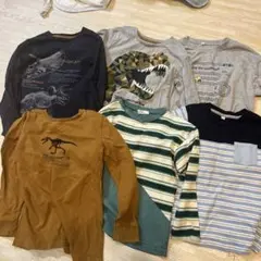 長袖カットソーセット（恐竜・海洋生物）