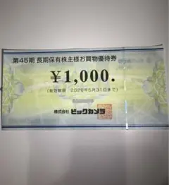 ビックカメラ 株主優待券 ¥1,000