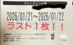 ディズニー バケパ フリードリンク券 シー ランド 1/21.22 2日間　②