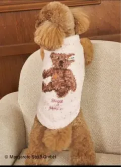 Item thumbnail for item ab122aa3-64d1-4126-995a-a32fec46ae89