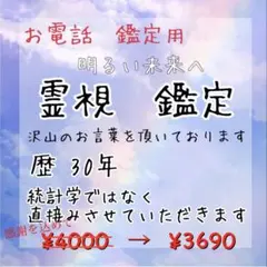 電話　本格霊視　占い　限定価格