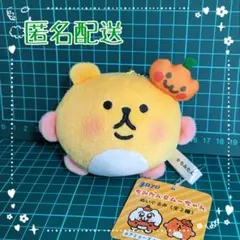 ちみたん　ぬいぐるみ　6種セット 2025年最新】ちみたん ぬいぐるみの人気アイテム - メルカリ