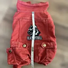 Item thumbnail for item 8f68b0f0-22e2-4f59-a381-6638c36f6395