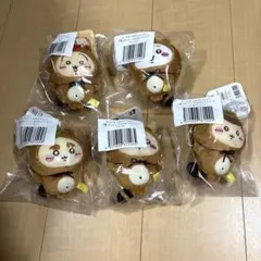 ちいかわ　たぬきだもんくじ　C賞　5点セット