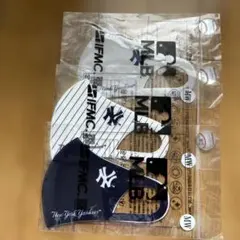 Item thumbnail for item 178954d6-5095-426c-9aee-f91bcfca79f3