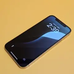 Item thumbnail for item 31194321-af56-4cfc-aeb0-3623083dd0a7