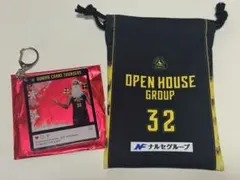 Item thumbnail for item 4568bf80-da04-45c8-8f81-e1392e6bcd24