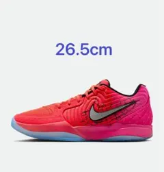 NIKE ja2 スワロフスキー26.5 試履きのみ9月10から21発送不可