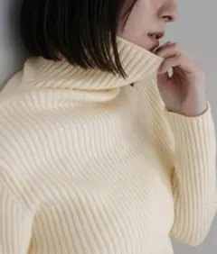 select MOCA タートルネックリブニット