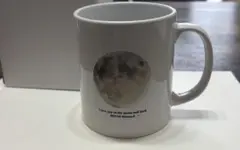 【新品・未使用】工藤静香2023 マグカップ ディナーショー