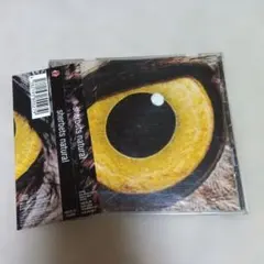 SHERBETS　浅井健一　【natural】