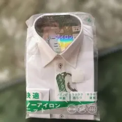 Item thumbnail for item c9cdc288-3483-4a8a-b27b-0cac10255e4f