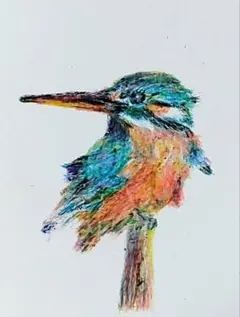 カワセミ。クレヨン画。手描きイラスト。鳥イラスト。a6。