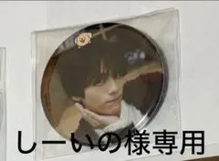 しーいの様専用ページ