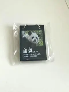 モフモフパンダ様 リクエスト 3点 まとめ商品
