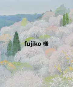 fujiko 様　専用　詳細必読