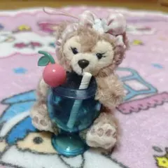 ディズニーリゾート　ダッフィー シェリーメイ　サマーサプライズ キーホルダー