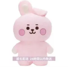 BTS BT21 COOKY クッキー ジョングク ぬいぐるみ たっとん