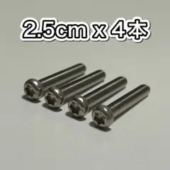 【新品】2.5cm x 4本 RIMOWAマルチホイール用ネジ