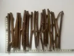 Item thumbnail for item f37f5400-e714-4870-a618-8bfa092c6761