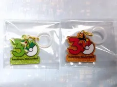 ポケモン ポケチャーム 30周年 ロゴマスコット2 ツタージャ ポカブ 2点