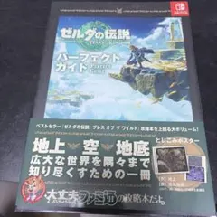 ゼルダの伝説 ティアーズ オブ ザ キングダム パーフェクトガイド