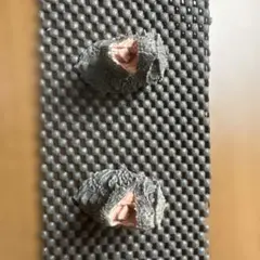 ハ*可様 ゴジラ マグネット