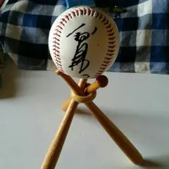 Item thumbnail for item 0c1763d8-8665-4704-a07c-0a622509c87f