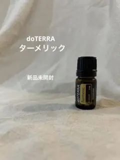 2026年最新】ﾄﾞﾃﾗの人気アイテム - メルカリ